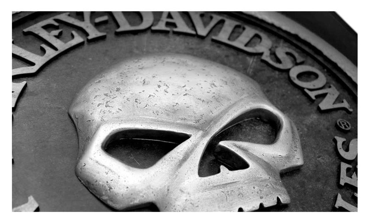 Harley-Davidson® Willie G Skull Sculpted 3D Pub Sign, 18 in Diameter
