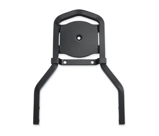 Low Medallion Style Sissy Bar Upright